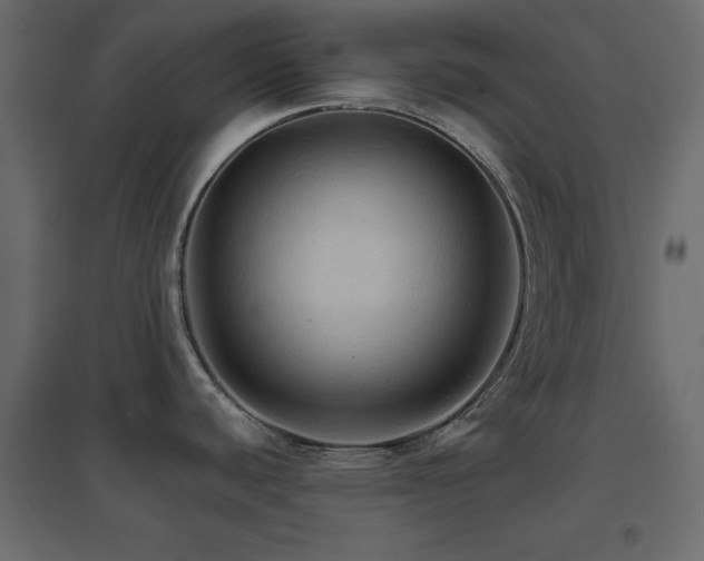X0000096661440200802051208