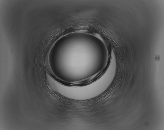 X0000096661441200802051207