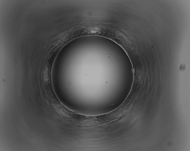 X0000096661442200802051207