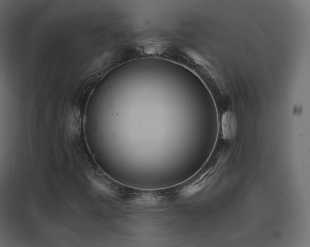 X0000096661443200802051207