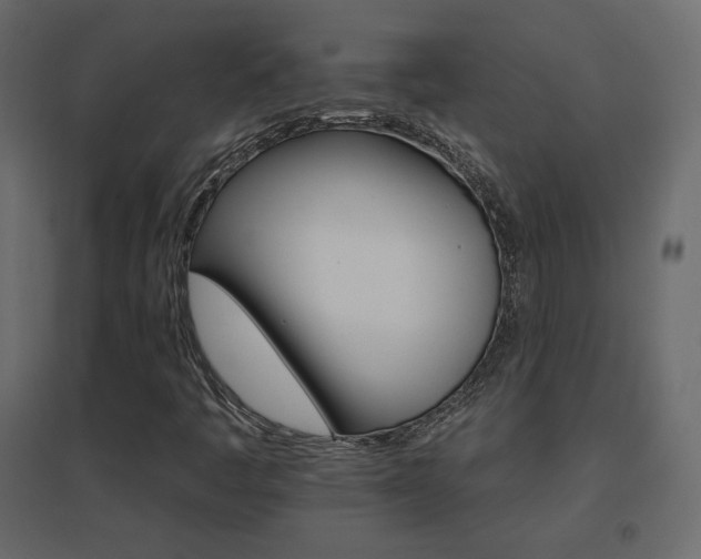 X0000096661445200802051207