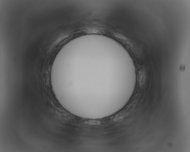 X0000096661446200802051207