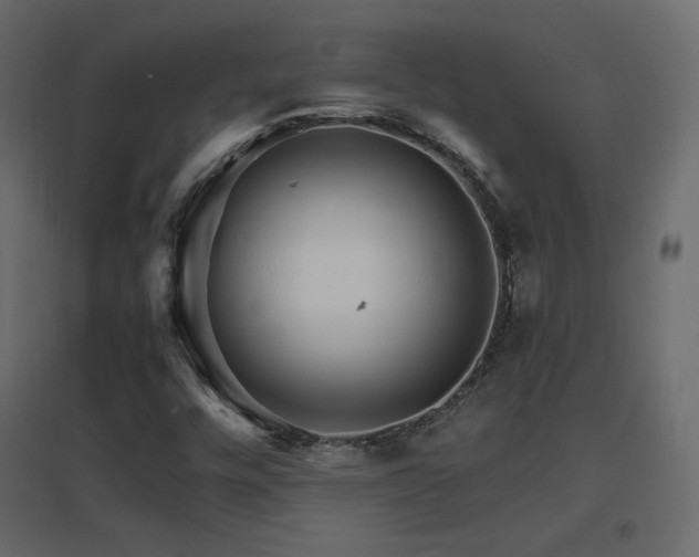 X0000096661448200802051207