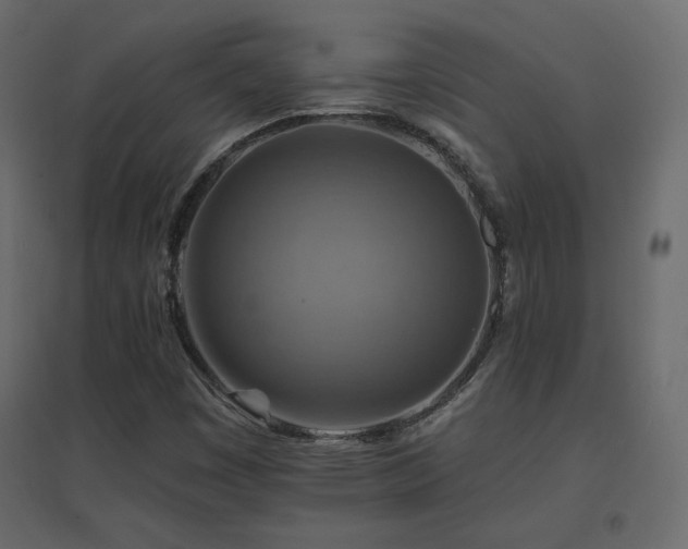 X0000096661449200802051207