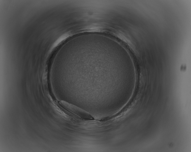 X0000096661450200802051207