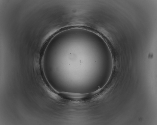X0000096661452200802051207