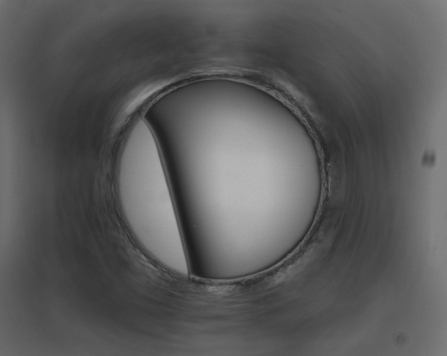 X0000096661453200802051207