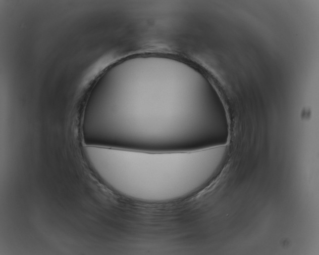 X0000096661455200802051207