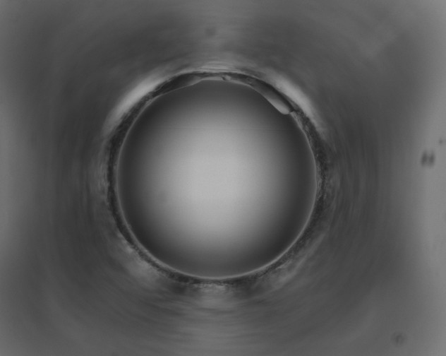 X0000096661456200802051207