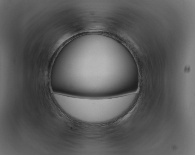 X0000096661457200802051207