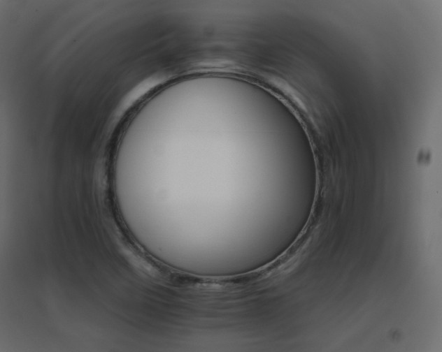 X0000096661458200802051207