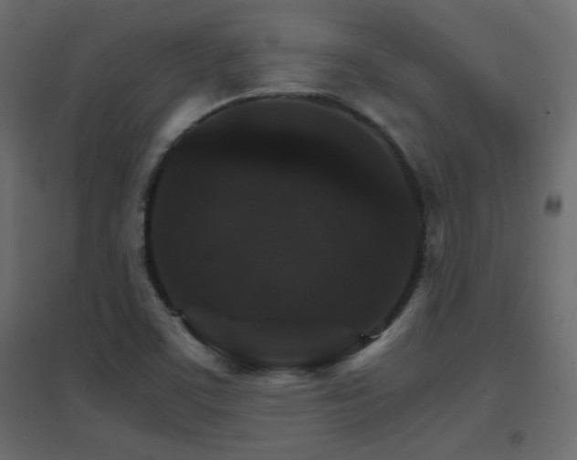 X0000096661459200802051207