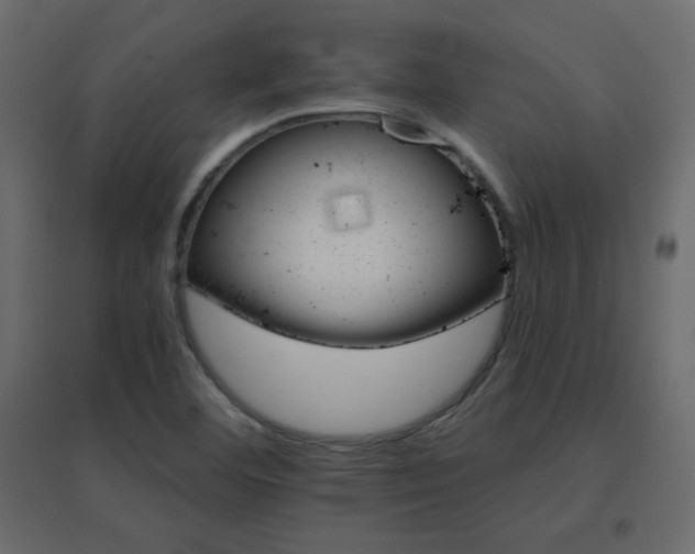 X0000096661460200802051207