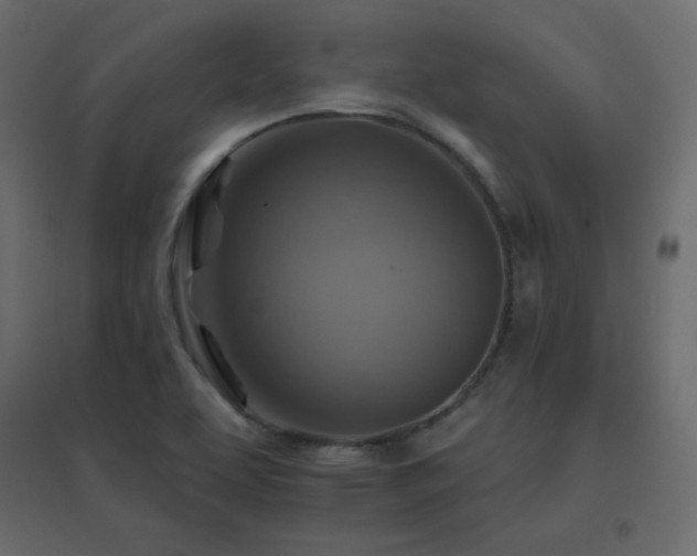 X0000096661463200802051207