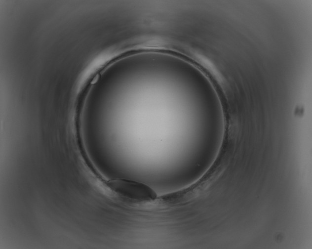 X0000096661464200802051207