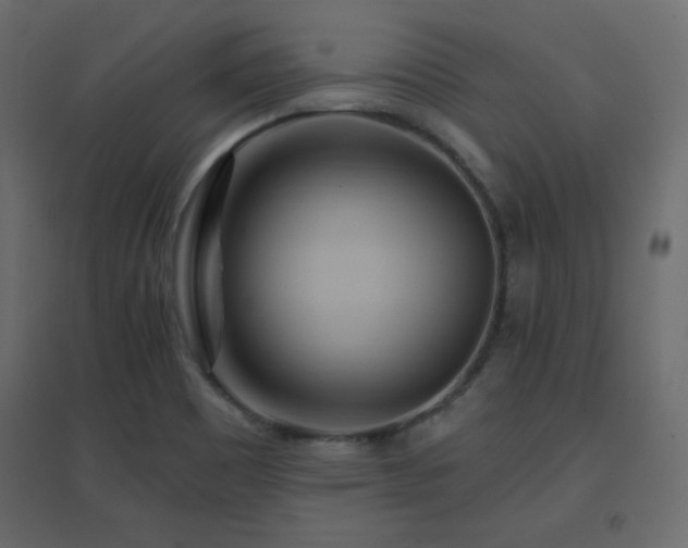 X0000096661465200802051207