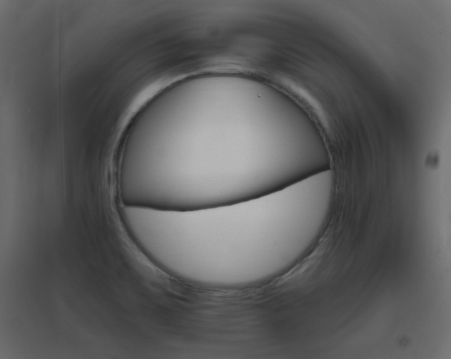 X0000096661467200802051207