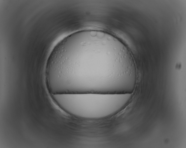 X0000096661471200802051207