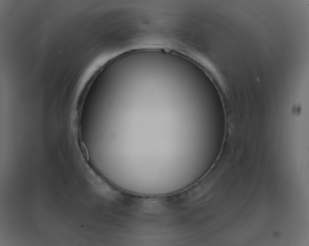 X0000096661472200802051207
