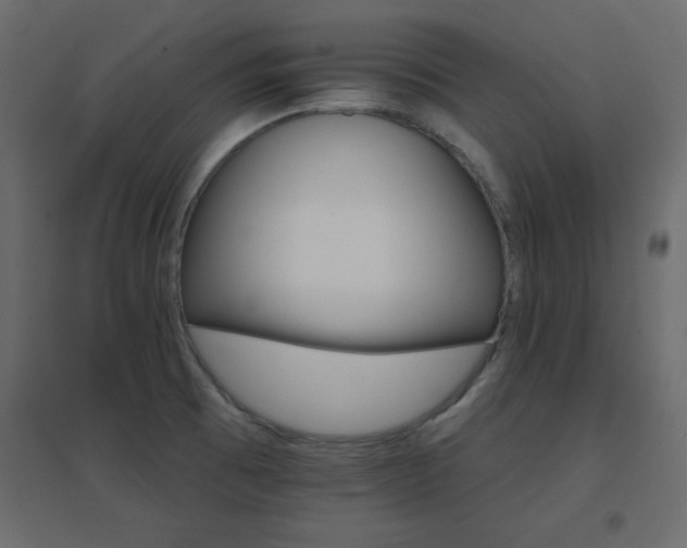 X0000096661473200802051207