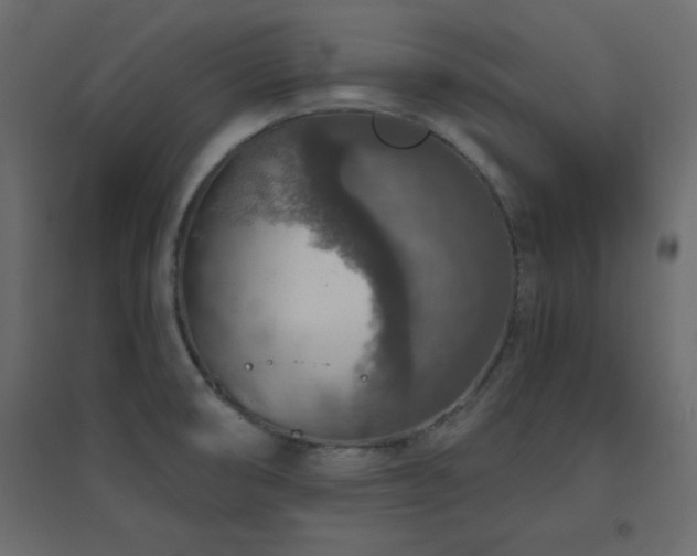 X0000096661474200802051207