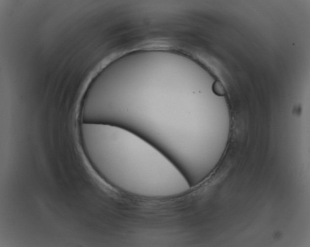 X0000096661475200802051207