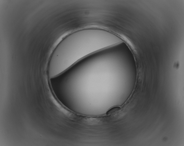 X0000096661476200802051207