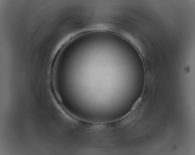 X0000096661477200802051207