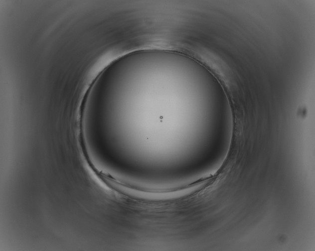 X0000096661479200802051207