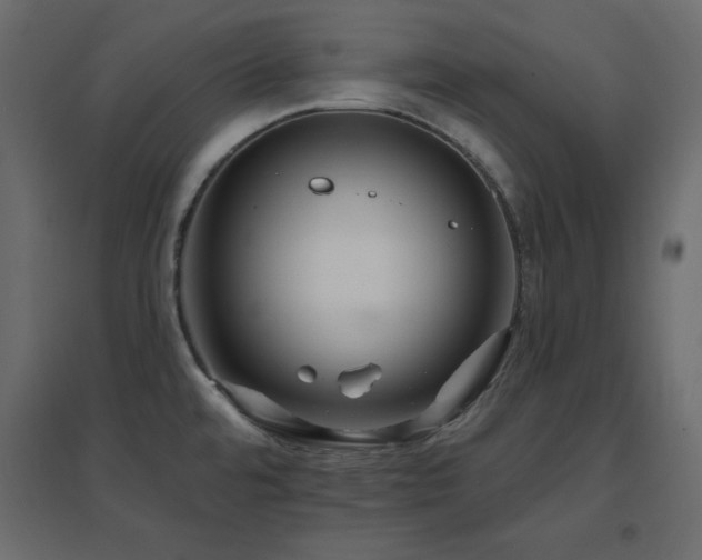 X0000096661480200802051207