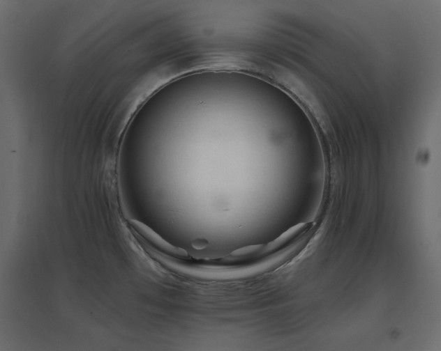 X0000096661481200802051207