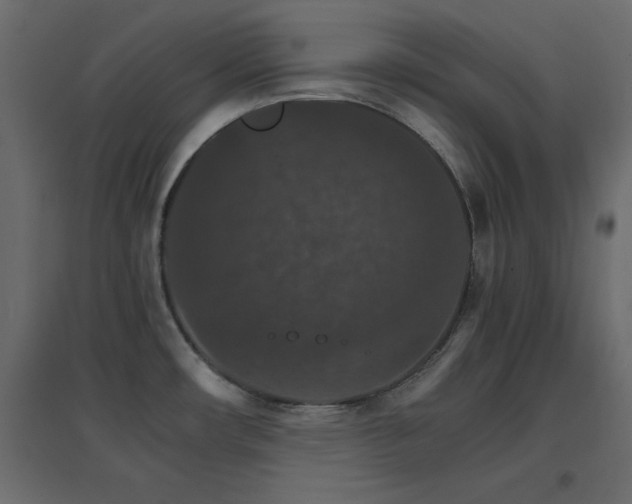 X0000096661482200802051207