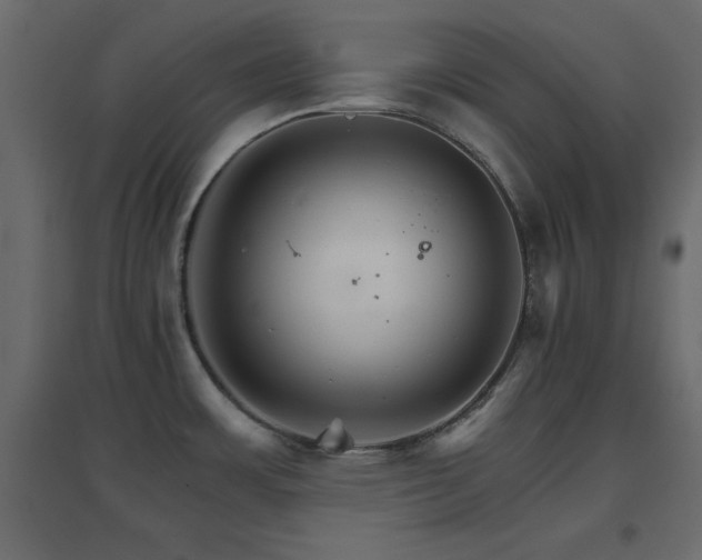 X0000096661483200802051207