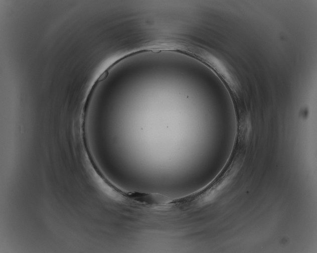 X0000096661484200802051207