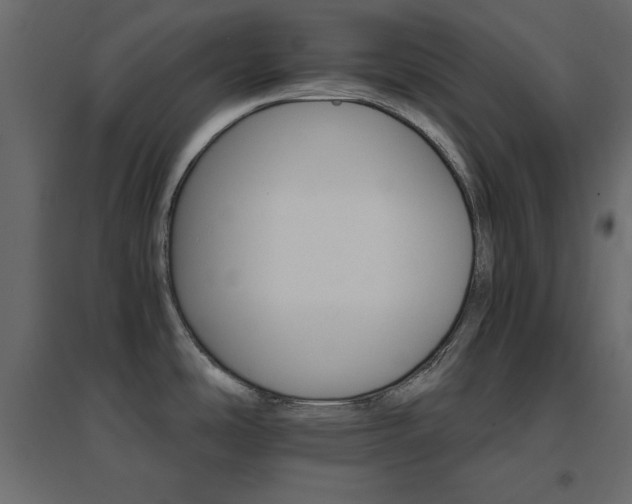 X0000096661486200802051207