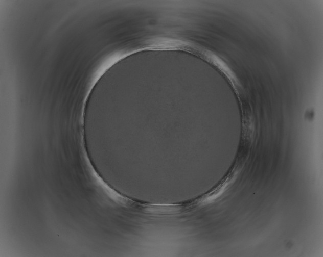 X0000096661487200802051207