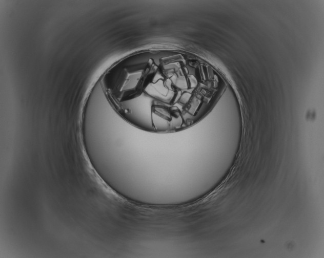 X0000096661488200802051207