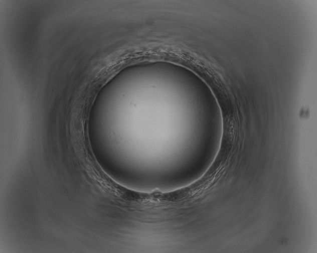 X0000096661489200802051206