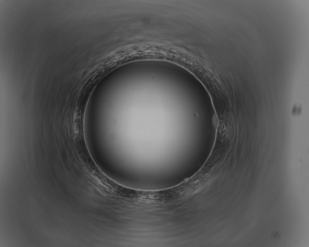 X0000096661490200802051206