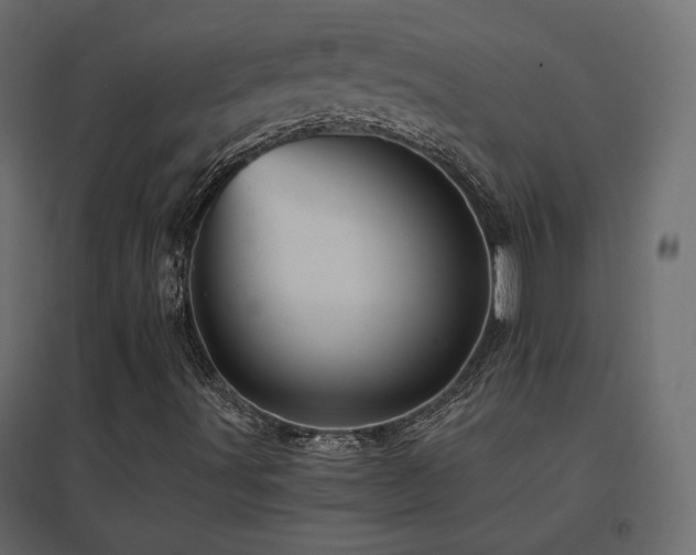 X0000096661491200802051206