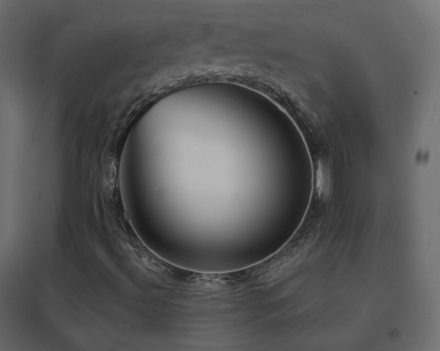 X0000096661492200802051206