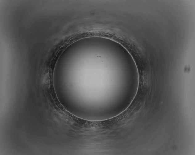X0000096661493200802051206