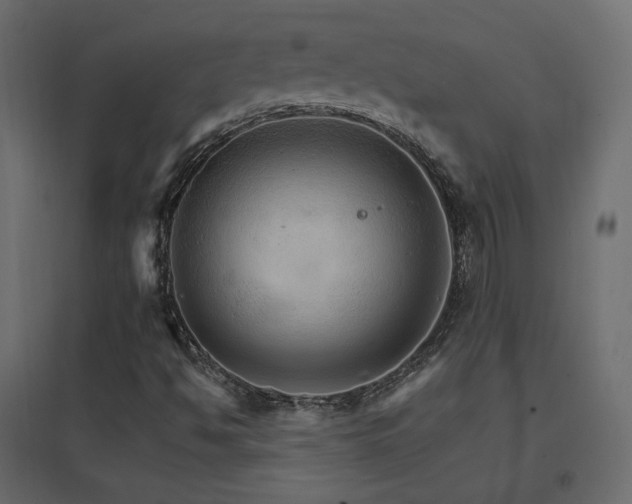 X0000096661494200802051206