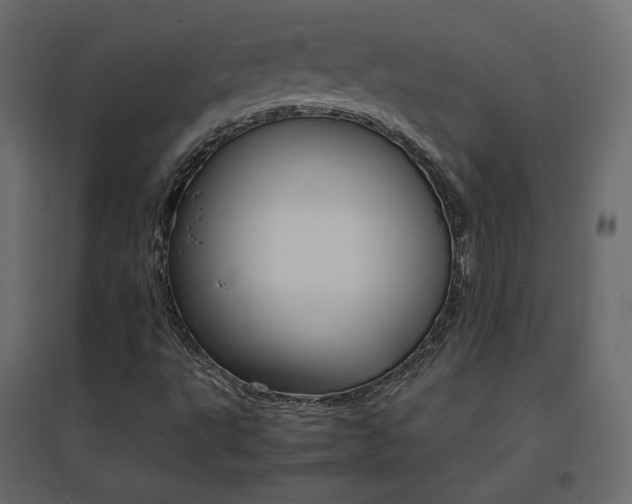 X0000096661495200802051206