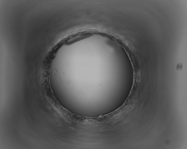 X0000096661496200802051206
