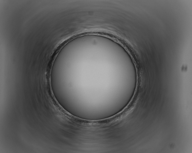 X0000096661497200802051206