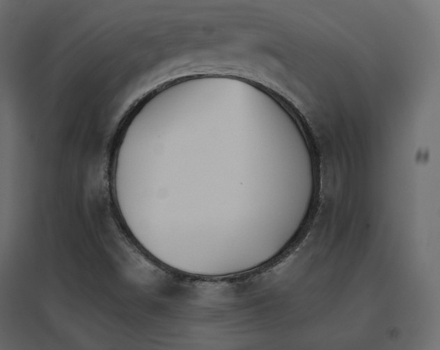 X0000096661498200802051206