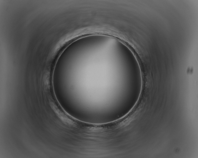 X0000096661499200802051206