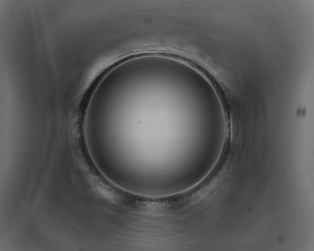 X0000096661501200802051206
