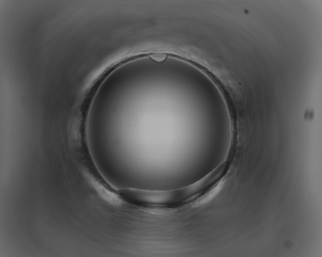 X0000096661502200802051206